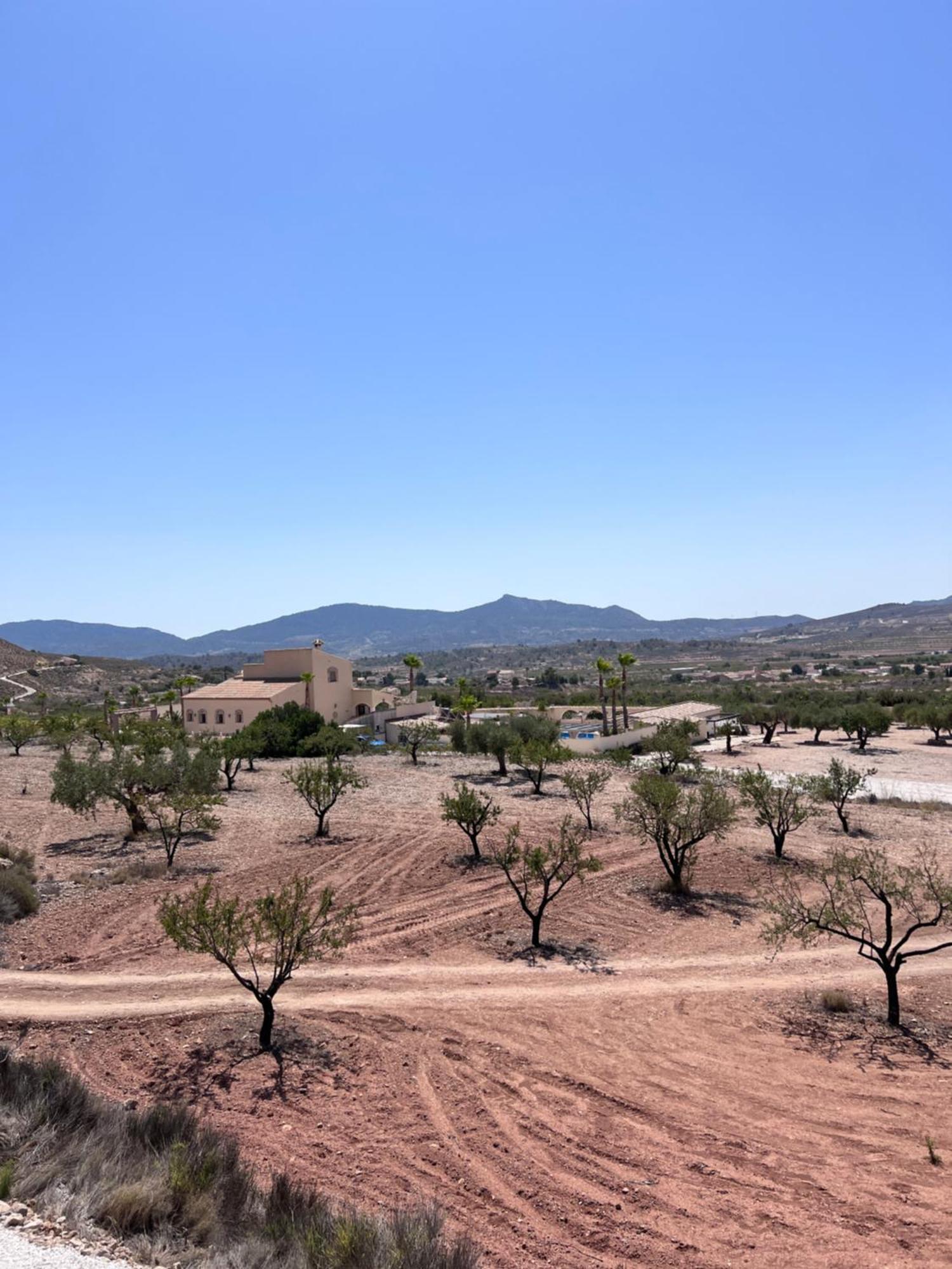 Casa Algezar Villa Hondón de las Nieves Eksteriør bilde